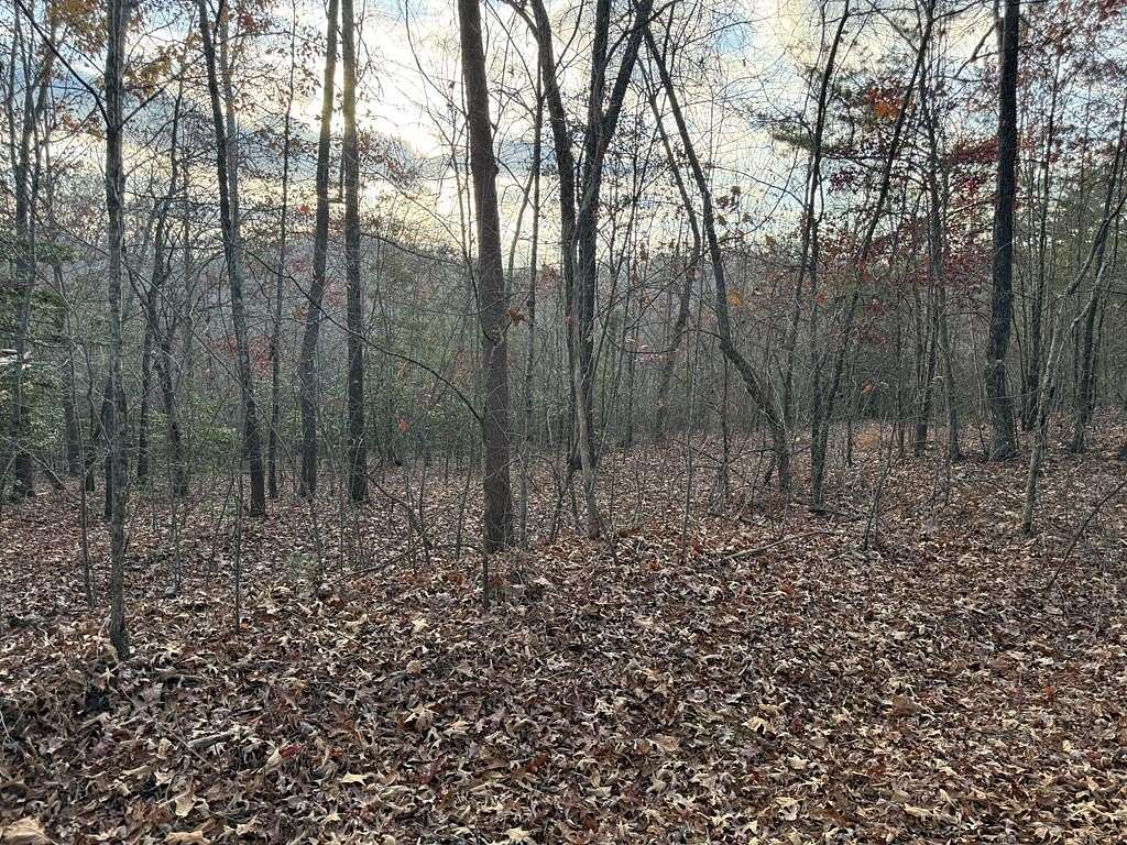 2.5 Acres of Land for Sale in Mineral Bluff, Georgia