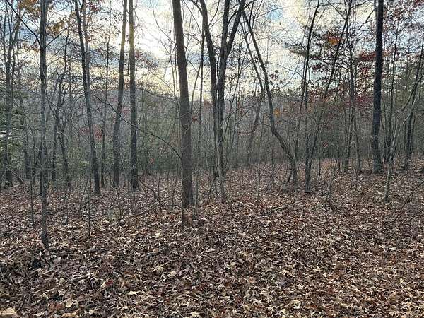 2.5 Acres of Land for Sale in Mineral Bluff, Georgia