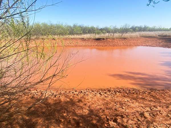 80 Acres of Recreational Land for Sale in Tuscola, Texas