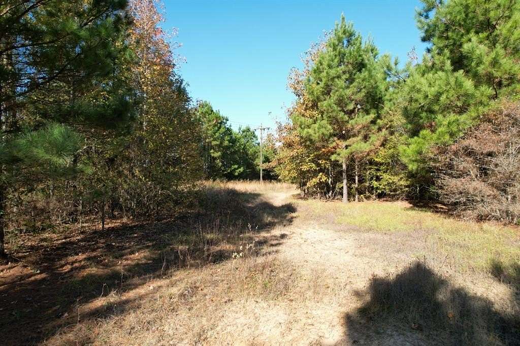 100 Acres of Recreational Land for Sale in Gilmer, Texas
