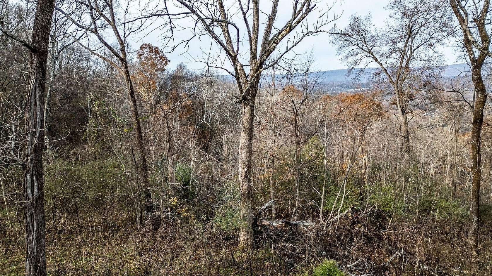 1 Acre of Residential Land for Sale in Hixson, Tennessee