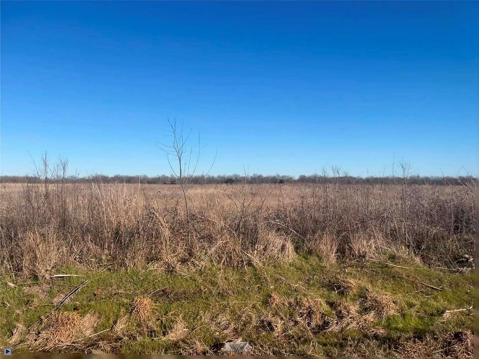 3.88 Acres of Residential Land for Sale in Commerce, Texas