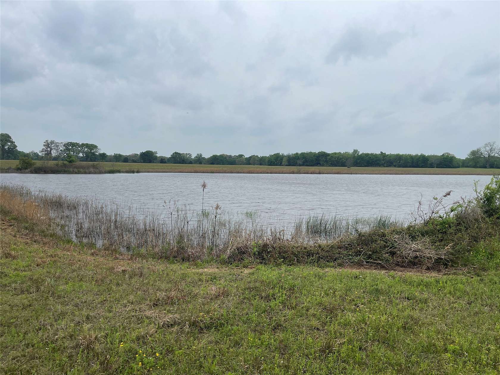 87 Acres of Agricultural Land for Sale in Ben Wheeler, Texas