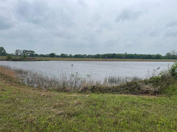 87 Acres of Agricultural Land for Sale in Ben Wheeler, Texas