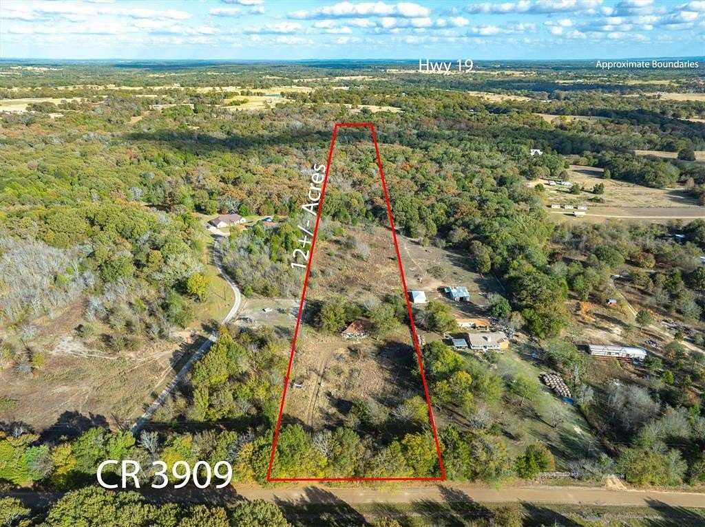12 Acres of Recreational Land for Sale in Athens, Texas