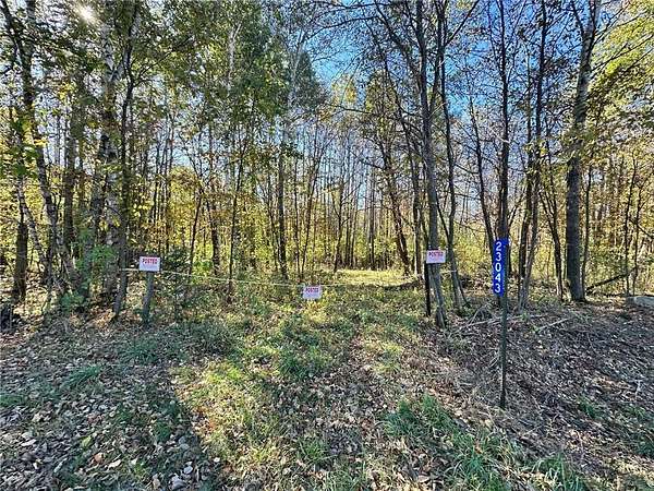 46.4 Acres of Recreational Land for Sale in Long Prairie, Minnesota