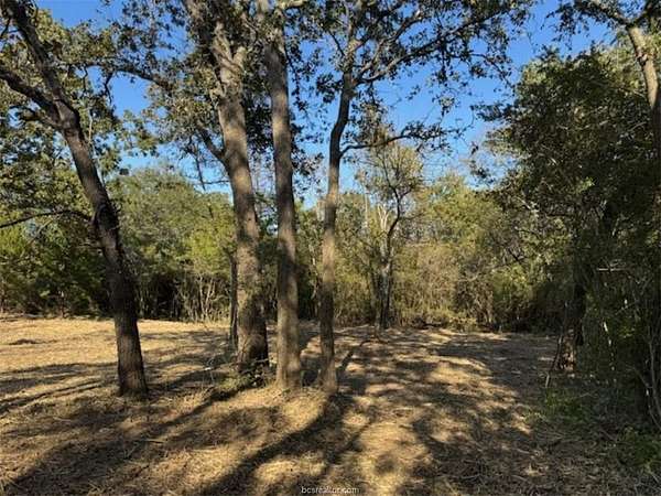 3.42 Acres of Residential Land for Sale in Washington, Texas