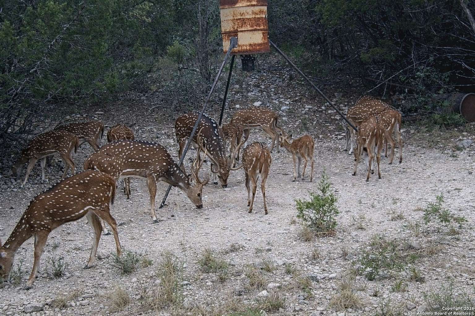 29.1 Acres of Recreational Land with Home for Sale in Uvalde, Texas