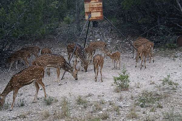 29.1 Acres of Recreational Land with Home for Sale in Uvalde, Texas
