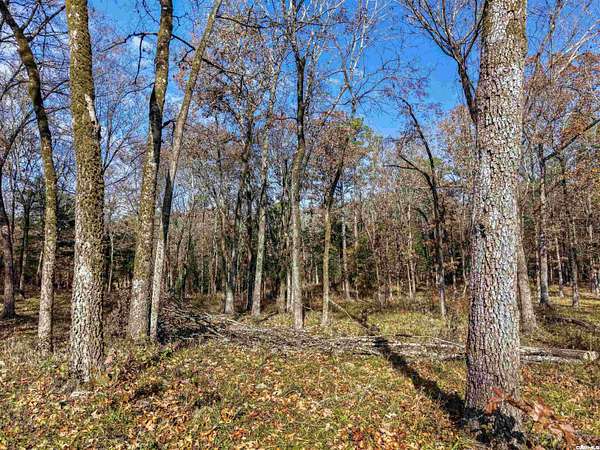 3.2 Acres of Land with Home for Sale in Story, Arkansas