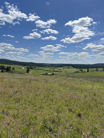 10 Acres of Residential Land for Sale in Chattaroy, Washington