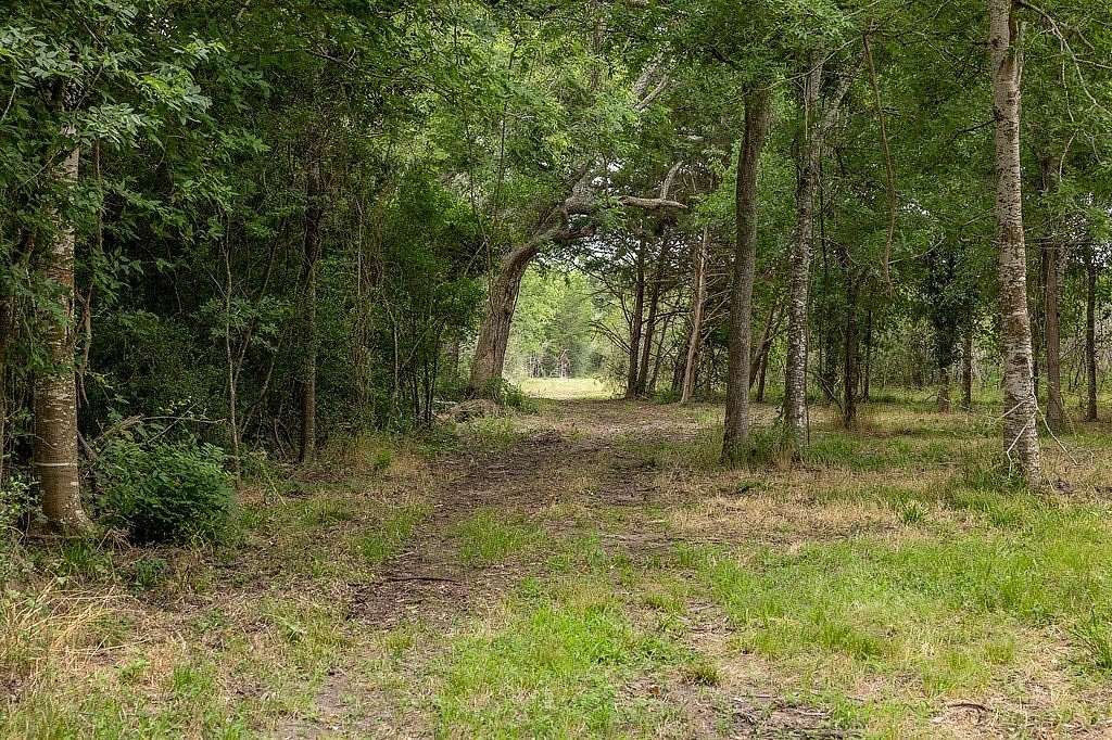 71 Acres of Land for Sale in Bellville, Texas