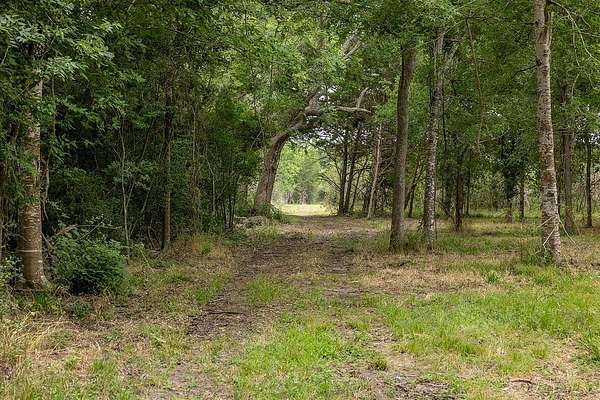 71 Acres of Land for Sale in Bellville, Texas