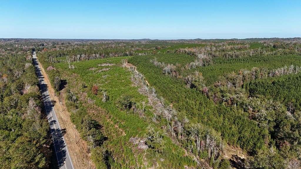 124 Acres of Recreational Land for Sale in Eufaula, Alabama
