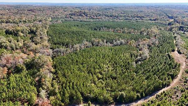 261 Acres of Recreational & Residential Land for Sale in Eufaula, Alabama