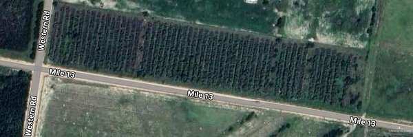 10 Acres of Residential Land for Sale in Edinburg, Texas