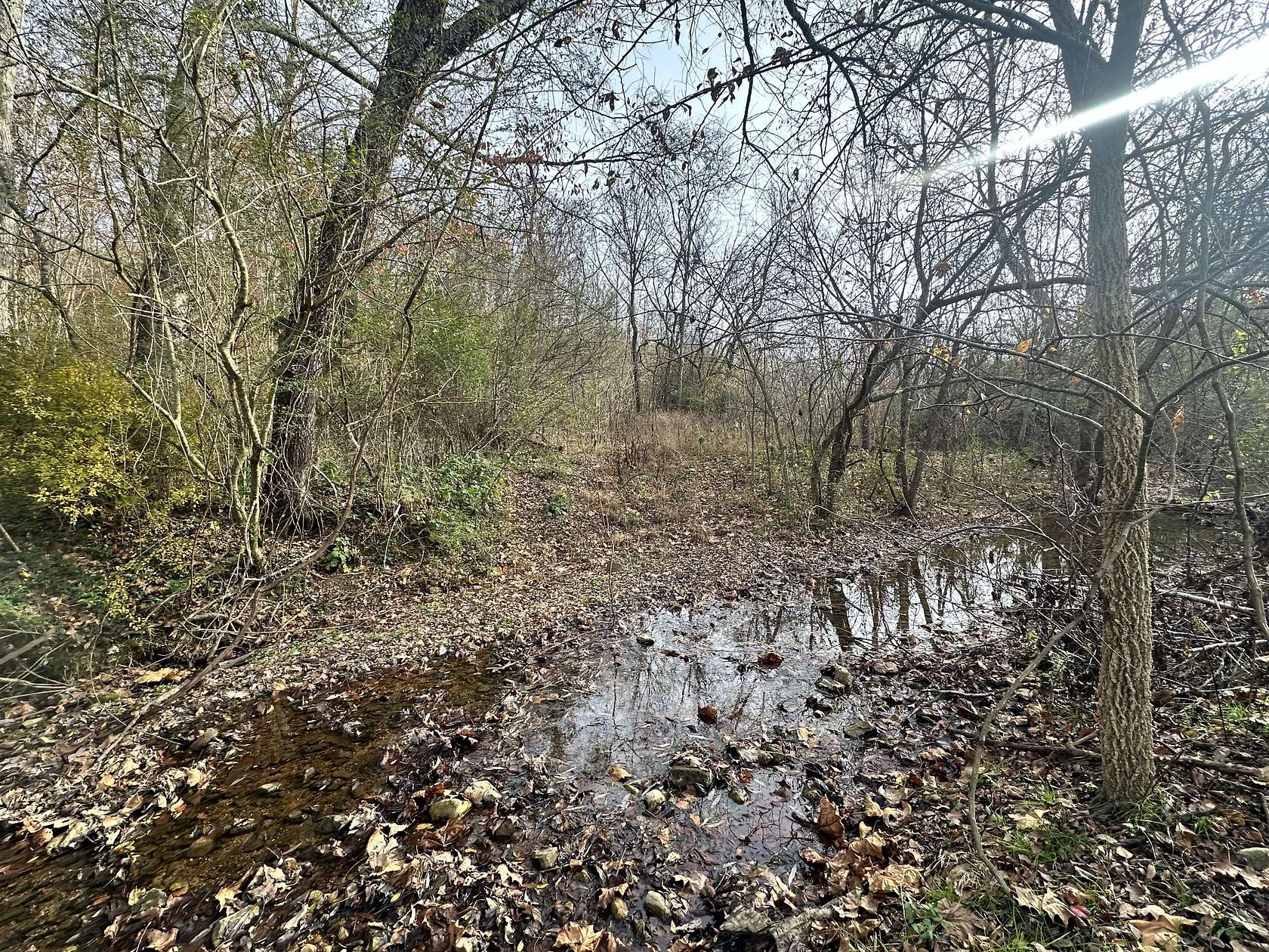 6.28 Acres of Residential Land for Sale in Waverly, Tennessee