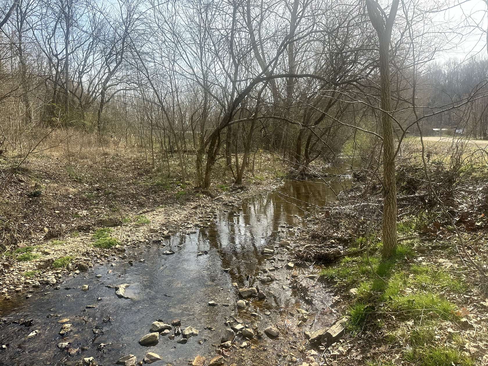 6.28 Acres of Residential Land for Sale in Waverly, Tennessee