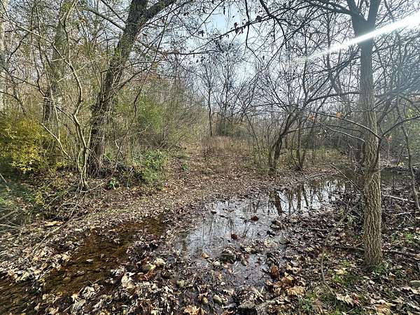 6.28 Acres of Residential Land for Sale in Waverly, Tennessee