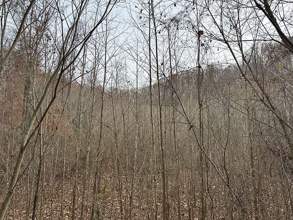 11.7 Acres of Land for Sale in Goodlettsville, Tennessee