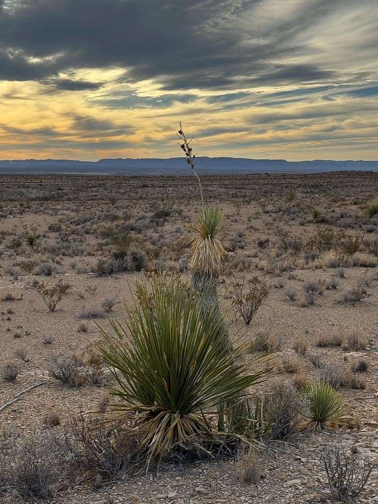 20 Acres of Recreational Land for Sale in Terlingua, Texas