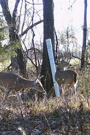 23.4 Acres of Recreational Land & Farm for Sale in Miami, Oklahoma