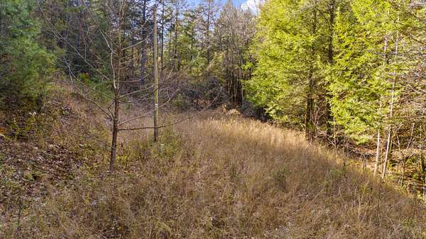 1.29 Acres of Land for Sale in Beattyville, Kentucky