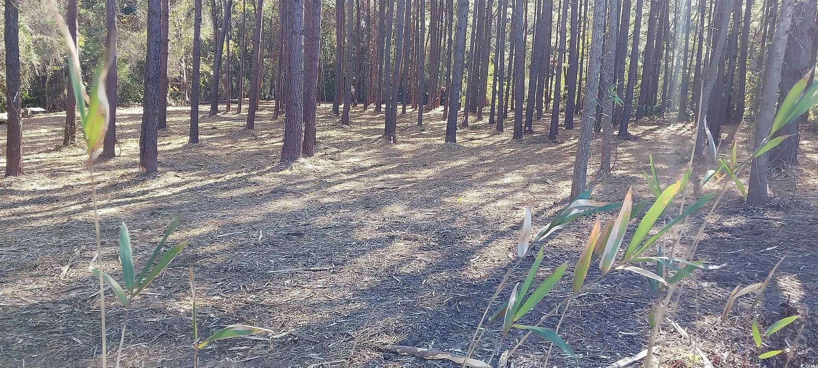 3.12 Acres of Residential Land for Sale in Mullins, South Carolina