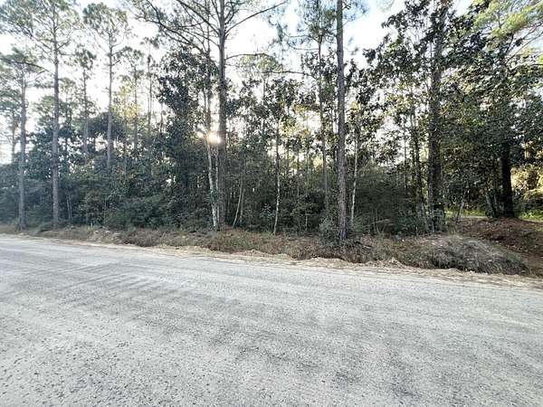 0.43 Acres of Residential Land for Sale in Santa Rosa Beach, Florida