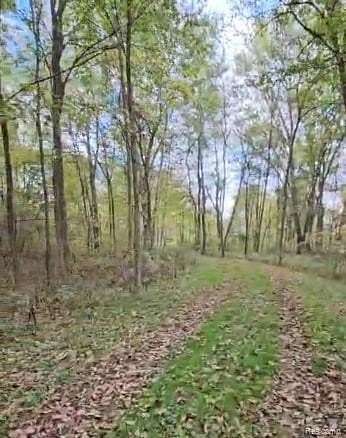 5.48 Acres of Land with Home for Sale in White Oak Township, Michigan