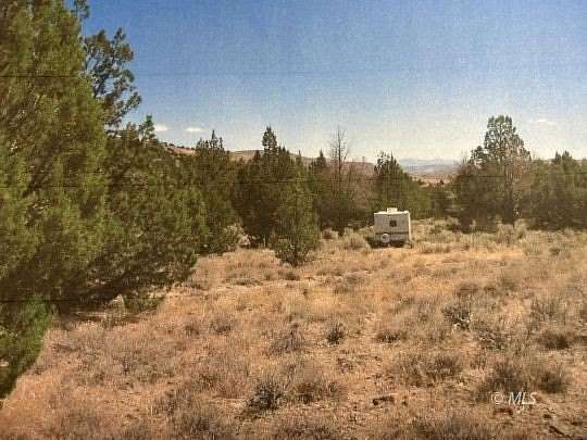 40 Acres of Land for Sale in Termo, California