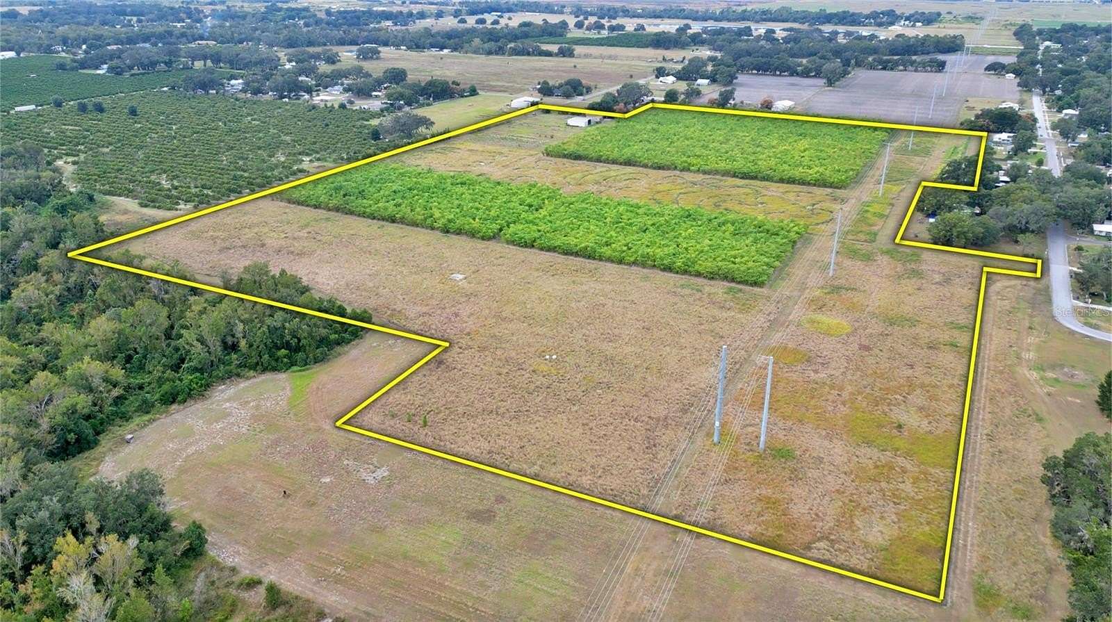 46 Acres of Land for Sale in Fort Meade, Florida