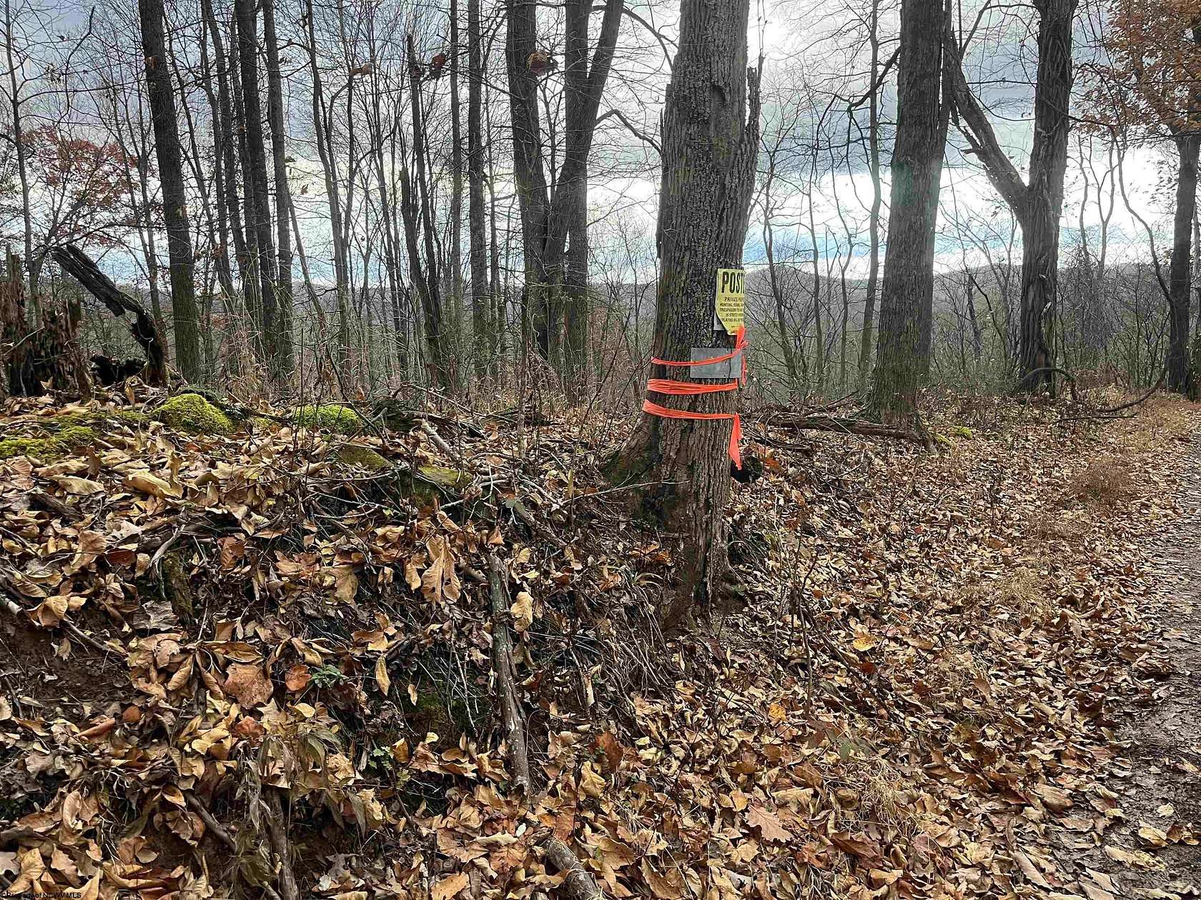 113 Acres of Land for Sale in Crawford, West Virginia