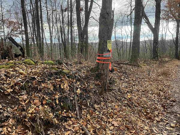 113 Acres of Land for Sale in Crawford, West Virginia