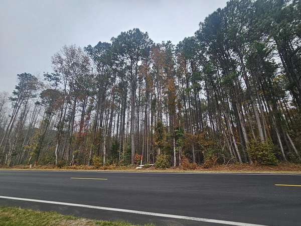 11.7 Acres of Recreational Land for Sale in Neeses, South Carolina