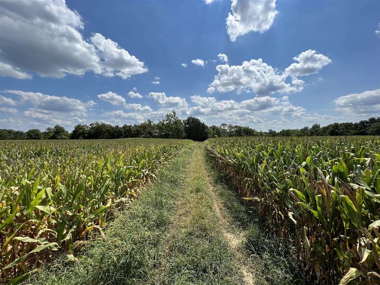 154 Acres of Recreational Land & Farm for Sale in Scottsville, Kentucky
