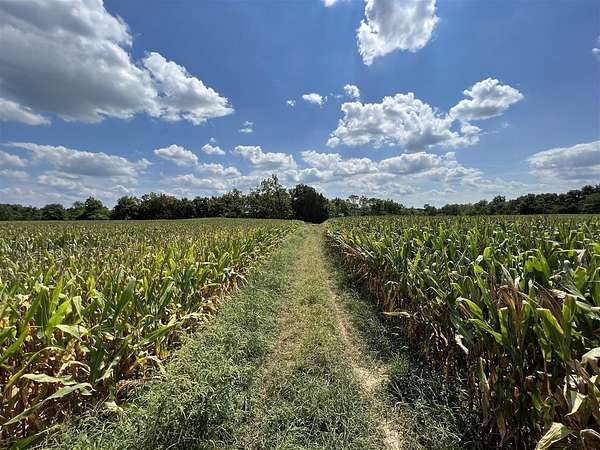 154 Acres of Recreational Land & Farm for Sale in Scottsville, Kentucky