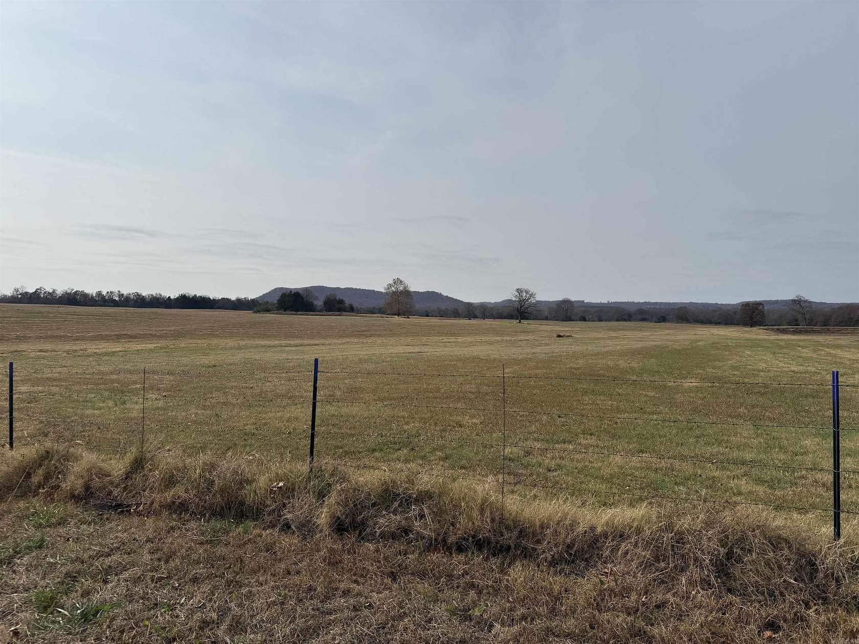 17.2 Acres of Land for Sale in Quitman, Arkansas