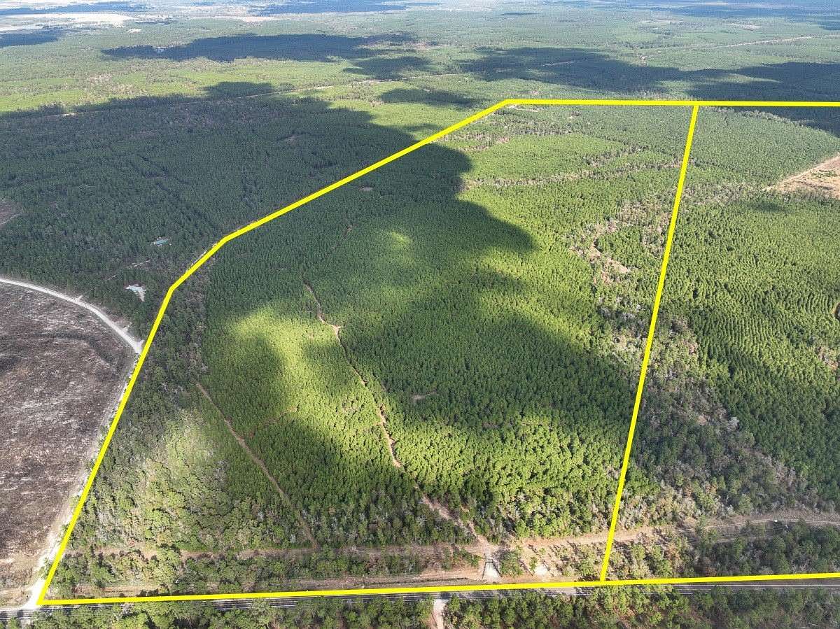 223 Acres of Recreational Land for Sale in Huntsville, Texas