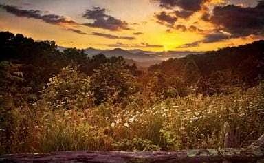 11.4 Acres of Land for Sale in Clayton, Georgia