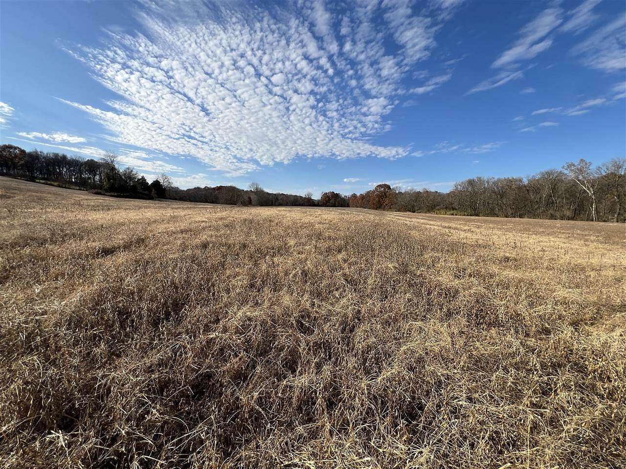 118 Acres of Recreational Land & Farm for Sale in Scottsville, Kentucky