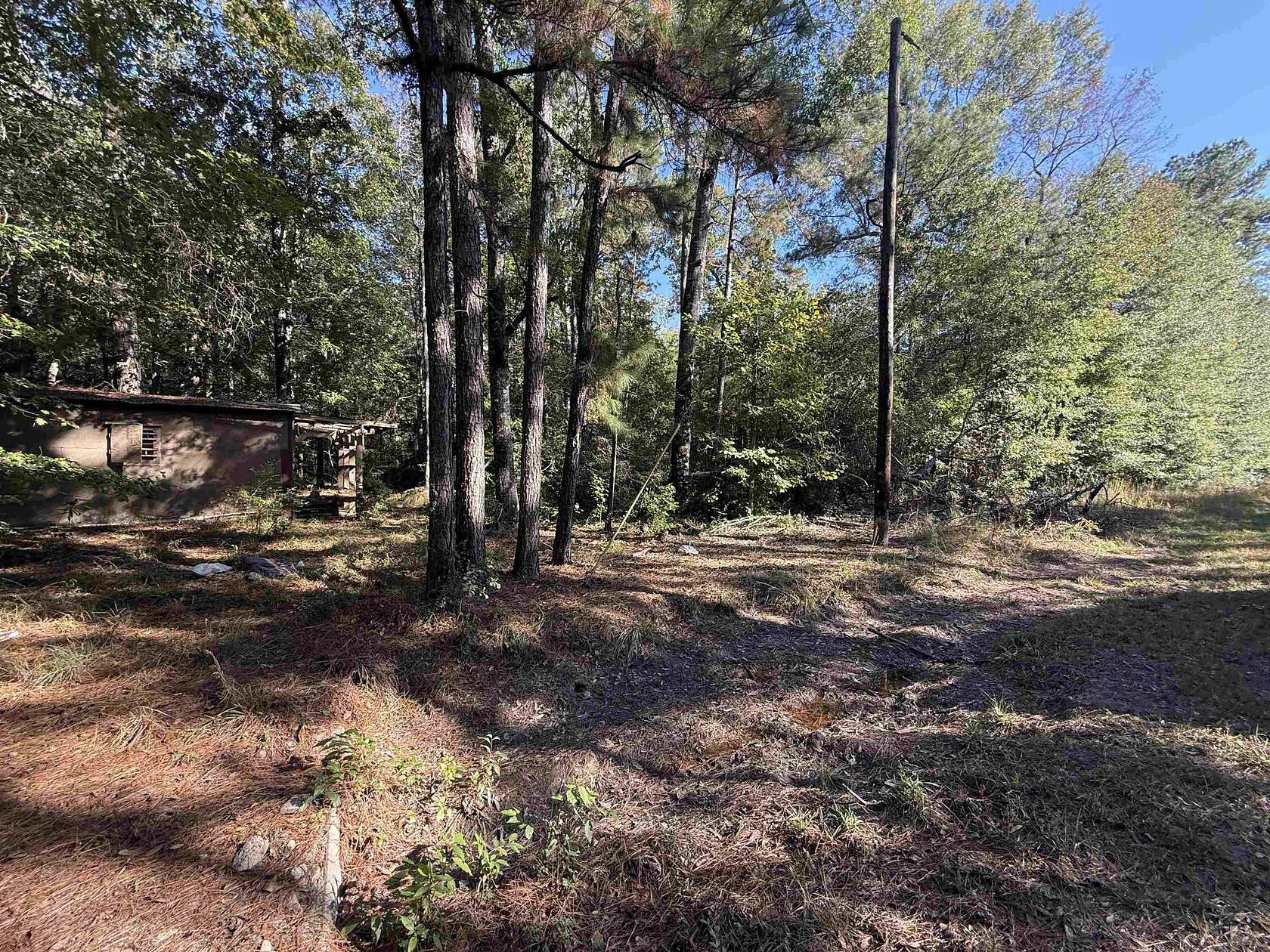 2.5 Acres of Residential Land for Sale in Thicket, Texas