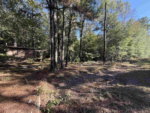 2.5 Acres of Residential Land for Sale in Thicket, Texas