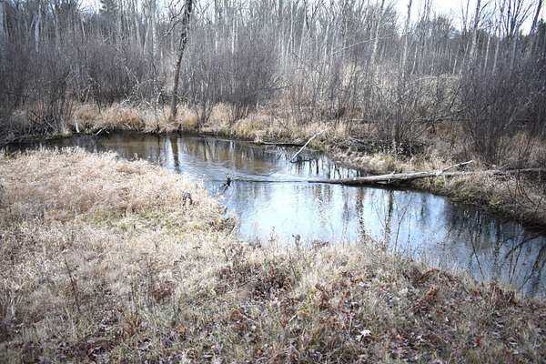 0.5 Acres of Land for Sale in Luther, Michigan