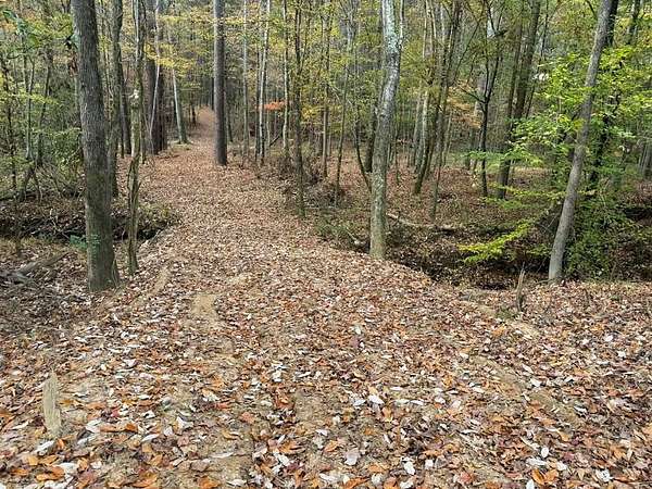 30 Acres of Recreational Land for Sale in Meridian, Mississippi