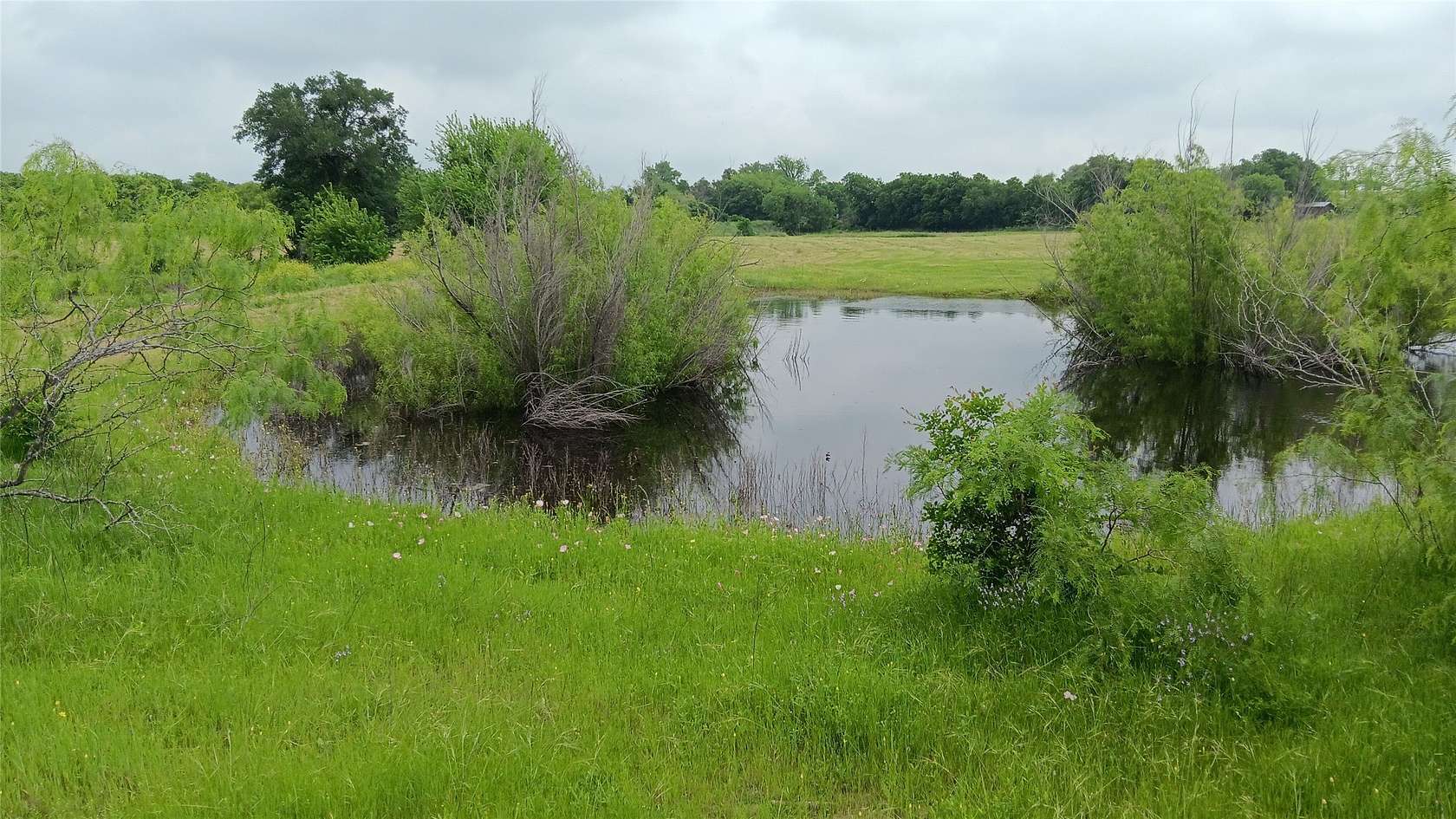 19.2 Acres of Land for Sale in Chilton, Texas