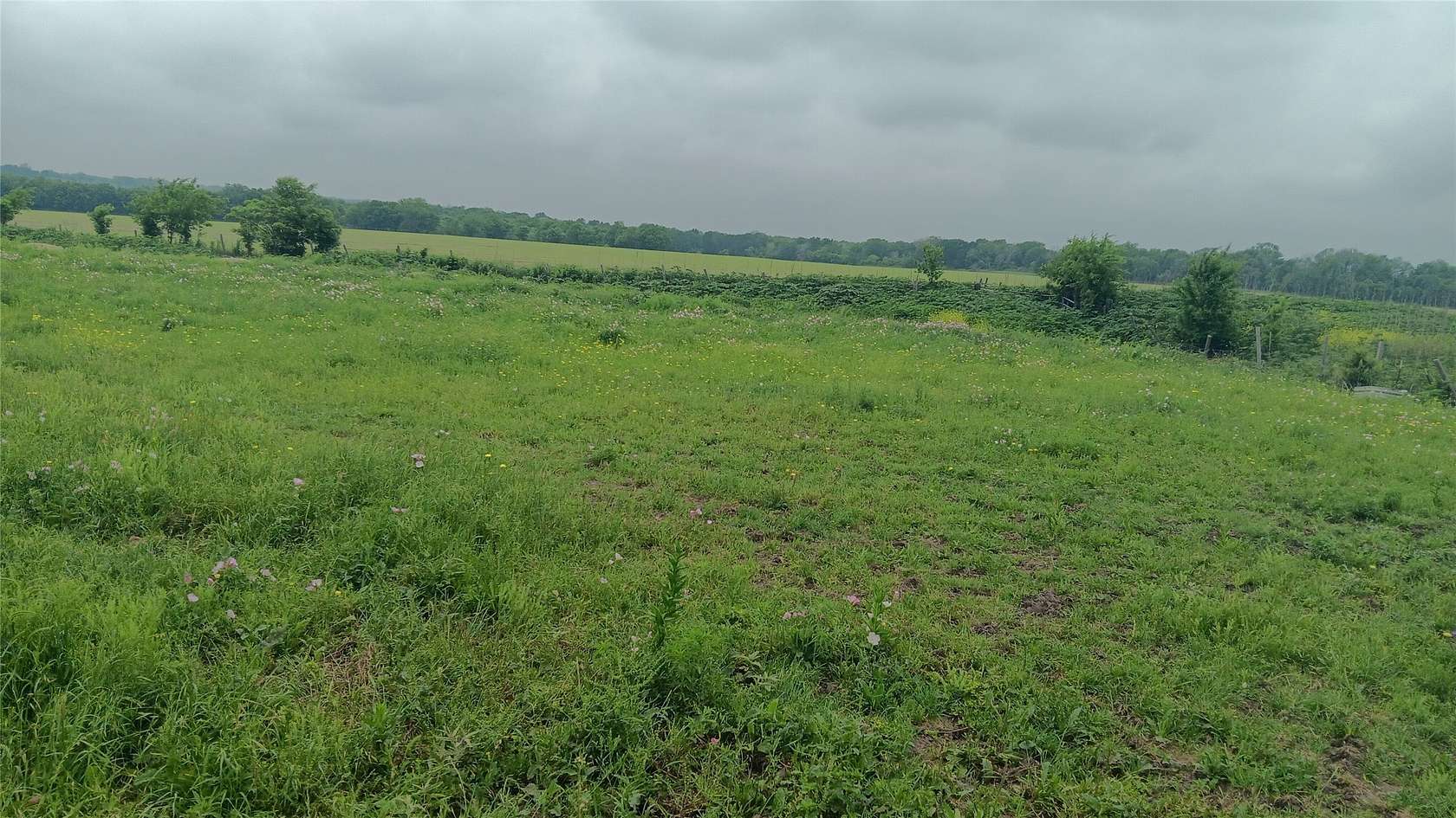 48.9 Acres of Land for Sale in Chilton, Texas