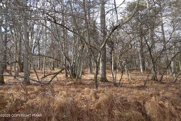 0.43 Acres of Residential Land for Sale in Albrightsville, Pennsylvania