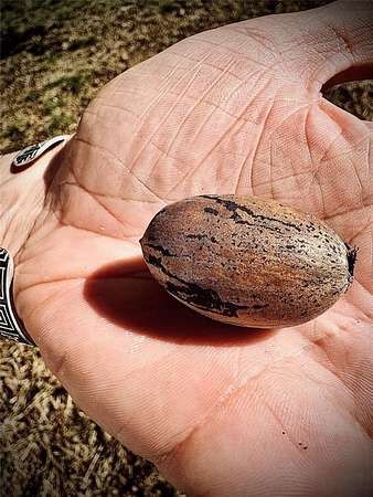 0.2 Acres of Residential Land for Sale in Paris, Texas