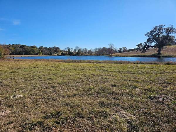 60.5 Acres of Agricultural Land for Sale in Brownsboro, Texas